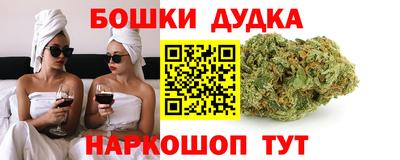 соль ск Новодвинск
